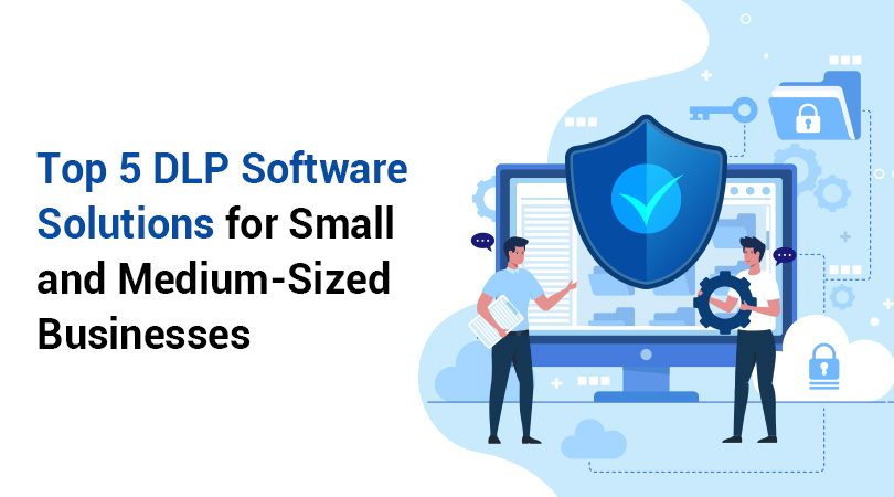 DLP Software Solutions