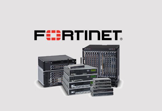 fortinet provider