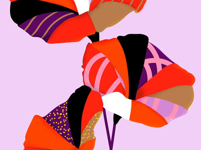 adobe Illustrator