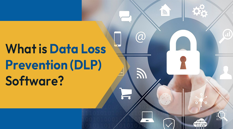 DLP Software